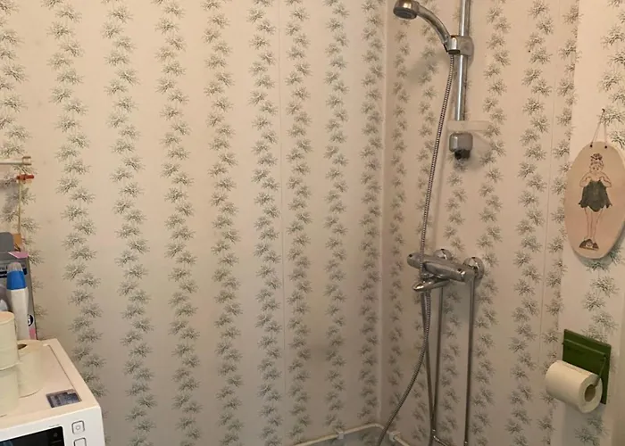 Petsamossa 홈스테이 *